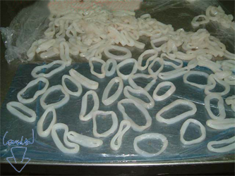 Illex Squid Rings